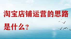 淘寶店鋪運營思路