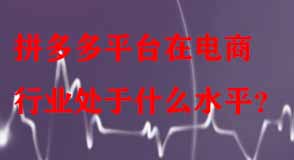 拼多多平臺在電商行業處于什么水平