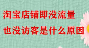 淘寶店鋪即沒流量也沒訪客是什么原因