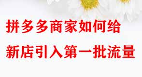 拼多多商家如何給新店引入第一批流量